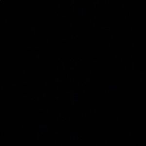 Meet your Posher, Benjamin